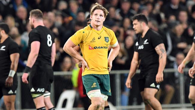 The Wallabies won back a mountain of respect with their performance in the second Bledisloe Test.
