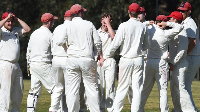 Diamond Creek celebrates a wicket last summer. Picture: Chris Eastman