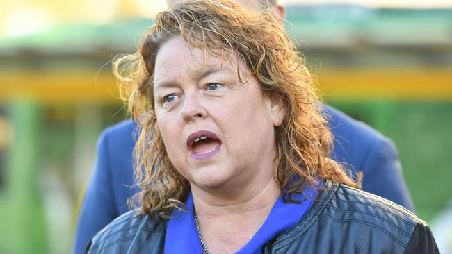 Opposition spokeswoman Nat Cook is concerned about staff turnover at Minda. Picture: Keryn Stevens