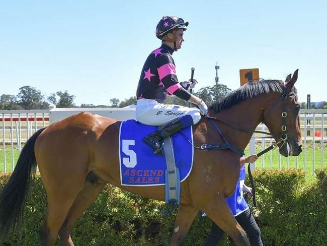 Macchina Volante (Blake Spriggs) parades at Hawkesbury when trained at Randwick. Image by Bradley Photographers