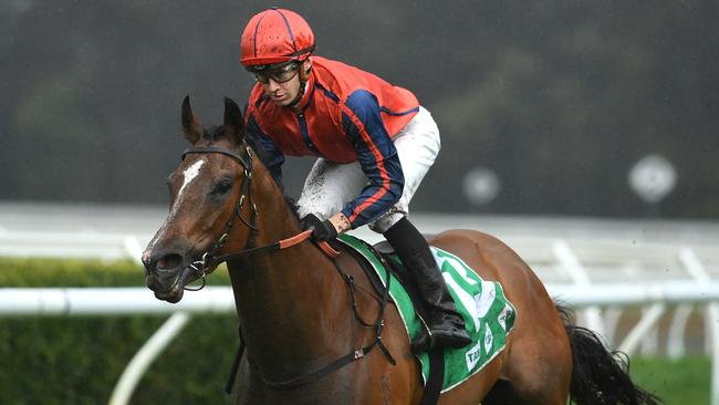 Miss Einstein has been a big firmer in Race 9. Picture: AAP Image