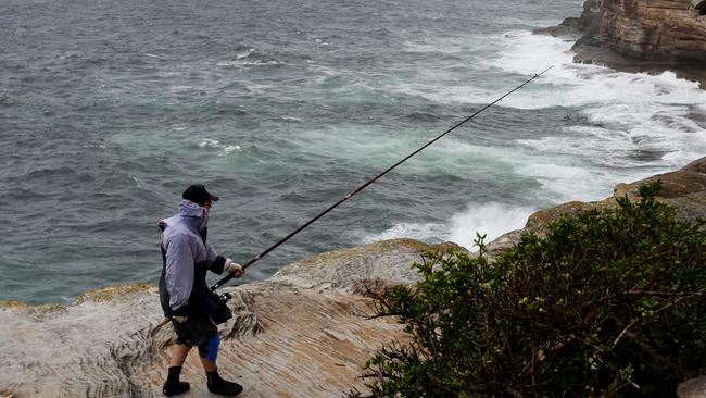 The Berejiklian Government has backed down on its controversial marine park policy. Picture: Brianne Makin