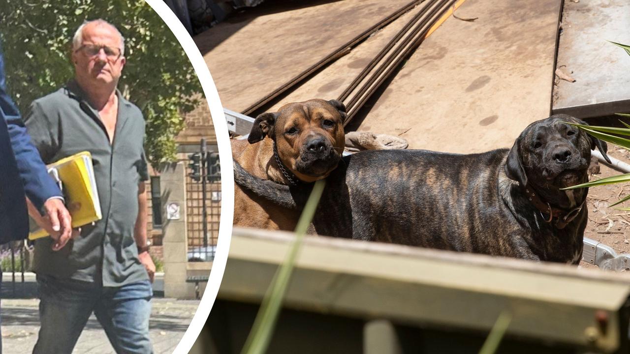 Terrified woman attacked by dogs in Adelaide park, court told