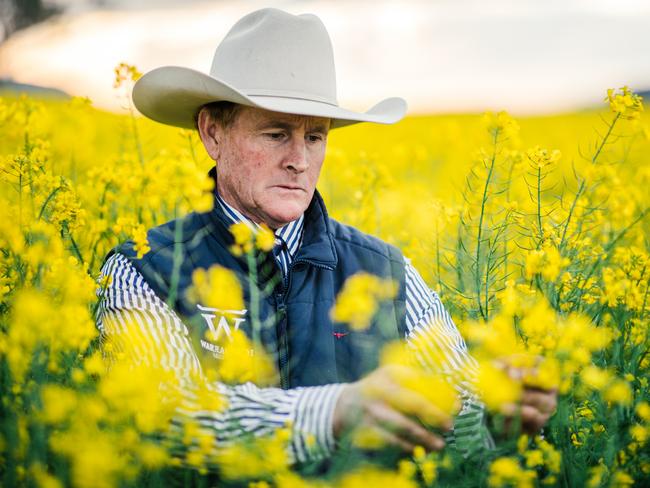 Warragundi Pastoral’s Matt Kelley, checking the crops at Currabubula NSW.