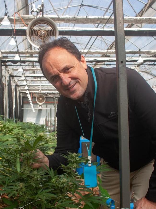 Legalise Cannabis Party NSW MP Jeremy Buckingham said he had received a ‘very good’ response from upper house MPs. Picture: Facebook