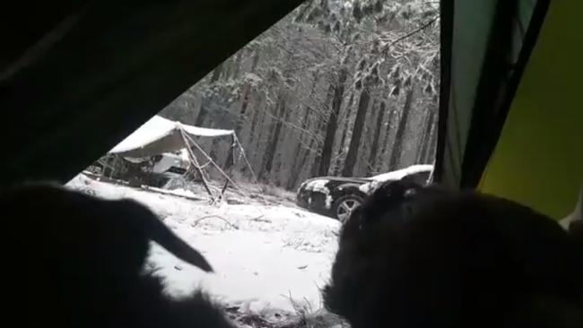 A camper peeks out of a tent in the Jenolan State Forest in the Blue Mountains after it was blanketed in snow on Friday night. Picture: EE_Spencer/Twitter