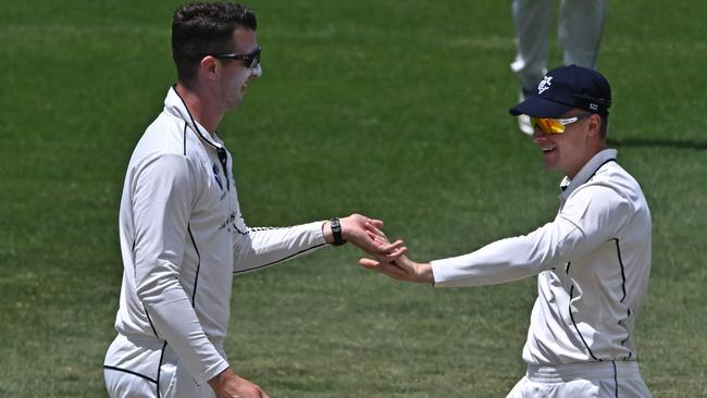 VSDCA: Yarraville’s J Raymer (left) celebrates a wicket. Picture: Andy Brownbill