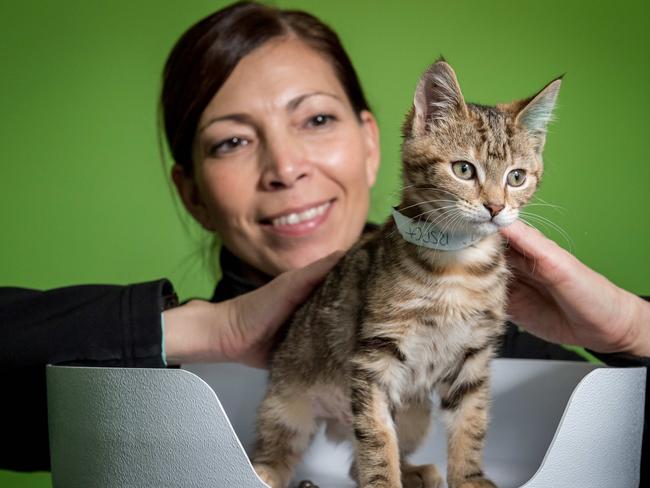 RSPCA inspectors have vowed to visit 20 stores across the state on Monday. Picture: Jake Nowakowski