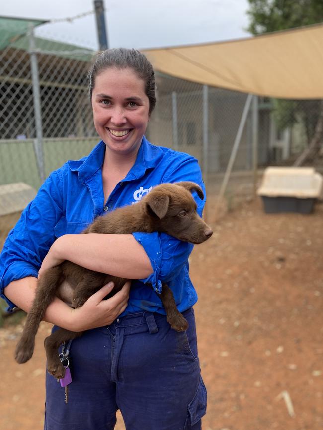 Dubbo City Animal Shelter coordinator Kirra Larkin could have a bigger smile if the proposed budget gets the green light. Picture: Ryan Young