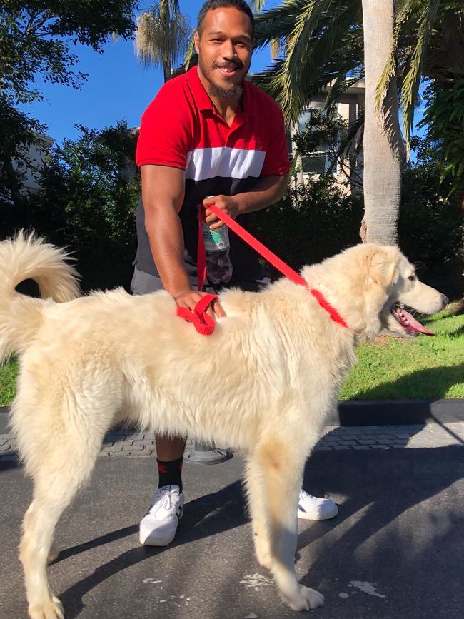 Agnatius Paasi walked Coco. Picture: Sam Mullholland-Goad