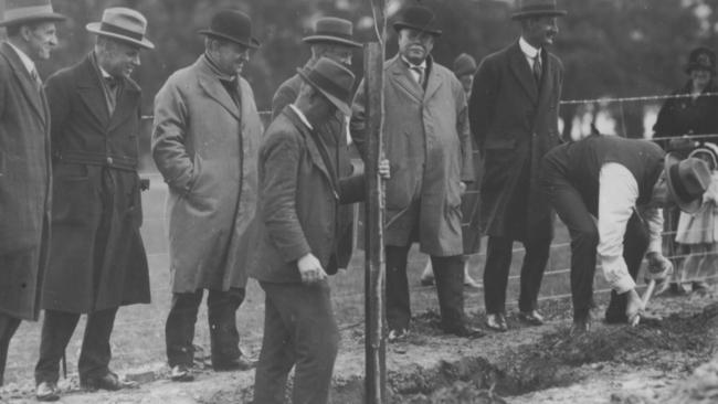 Tree planting in Wattle Park. Picture: Parks Victoria