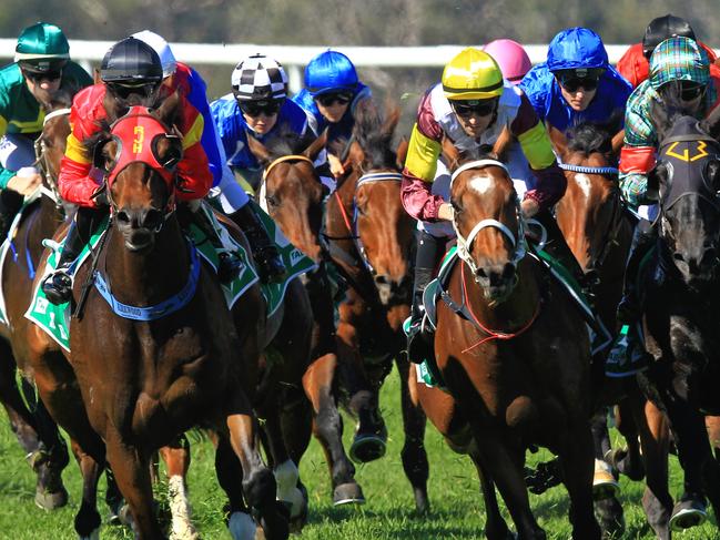 Thoroughbred action in NSW heads to Kembla Grange with eight races on Thursday.