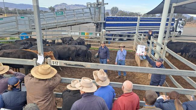 Livestock agents take the bids at the Wodonga cattle sale where big numbers of females have been offered in the past few months.