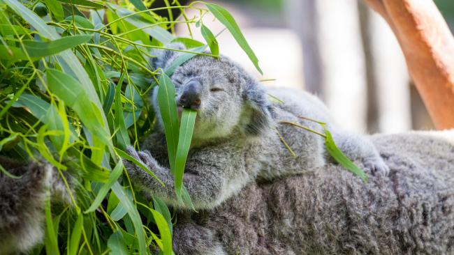 Hang out with the locals. 