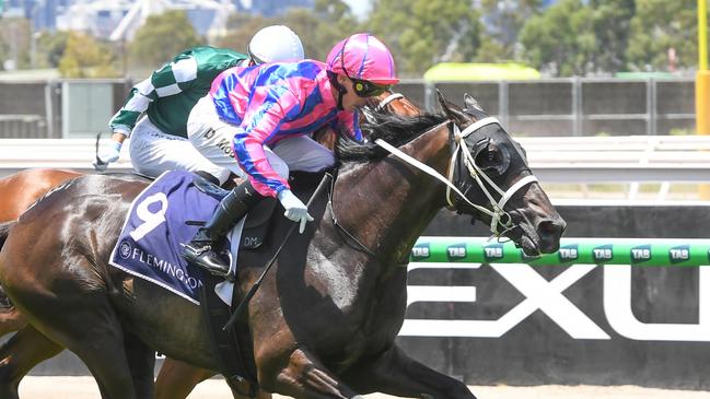 Thedoctoroflove ridden by Daniel Moor wins the National Jockeys Trust Trophy at Flemington Racecourse on January 11, 2025 in Flemington, Australia. (Photo by Brett Holburt/Racing Photos via Getty Images)