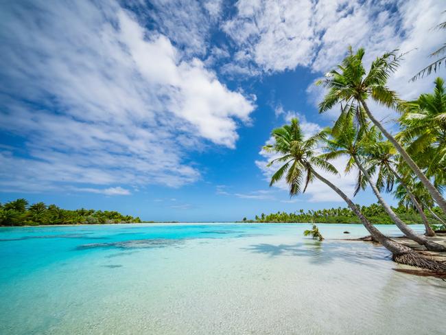 Perfect untouched natural paradise beach lagoon under blue summer sky. Teahatea, the beautiful, natural blue - turquoise - green lagoon and natural beach in the UNESCO Nature Biosphere Reserve with tropical palm treea like 'made for a postcard'. Fakarava Atoll Island, UNESCO Biosphere Reserve, Tuamotu Islands Archipelago, French Polynesia.Tuamotu Atoll Islands, French Polynesia, South Pacific Islands.Escape 9 June 2024HotlistPhoto - iStock