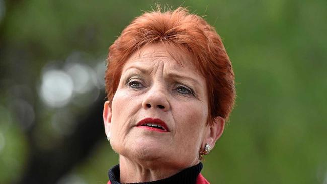 “I did not vote 1 for Pauline in the Senate out of “fear and ignorance” - I voted for her because she is addressing the issues that I believe are of utmost importance to this nation and the major’s aren’t.”. Picture: DAN PELED