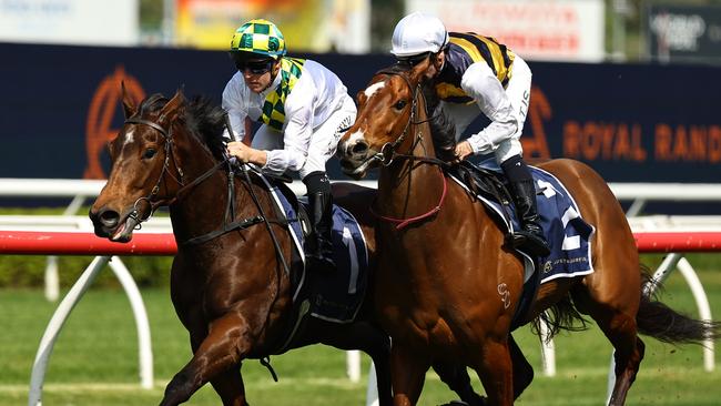 Sunshine In Paris and Lady Laguna work to the line together in the exhibition gallop at Randwick. Picture: Getty Images