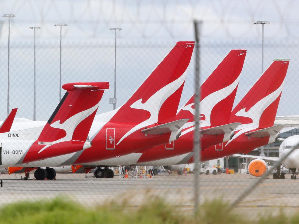 Qantas has warned of the dangers of carrying short nosed dogs. Picture: NCA NewsWire/Jono Searle