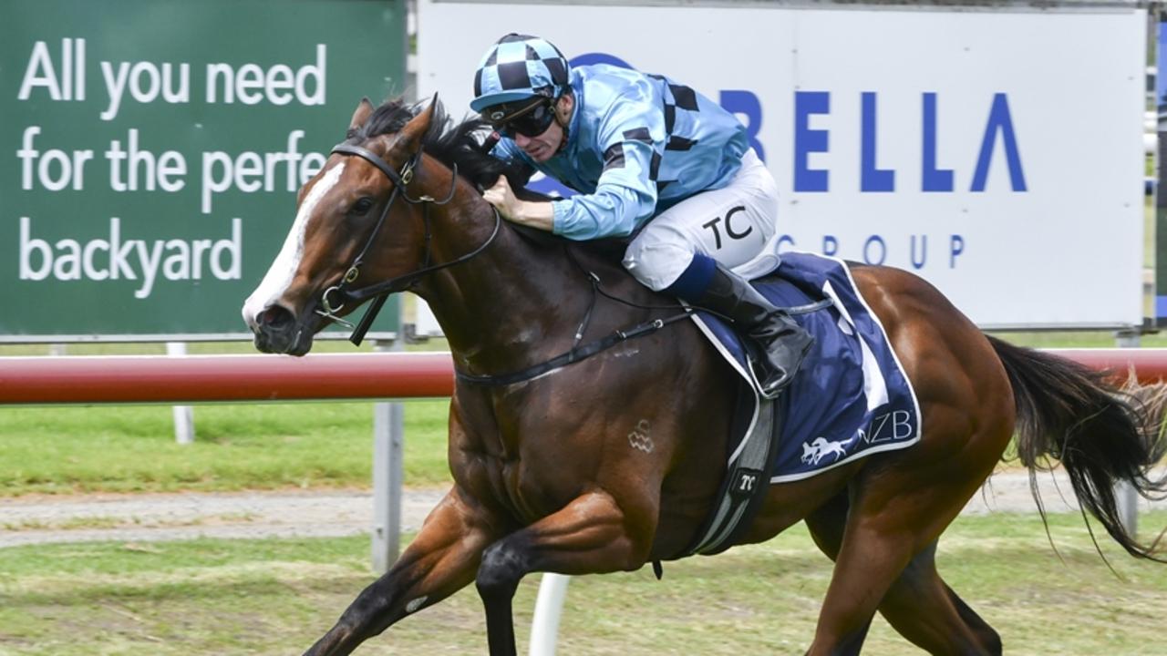 Blitzburg winning on debut at Newcastle last November. Picture: Bradley Photos