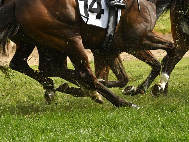 Horse racing action, hooves, legs and tail