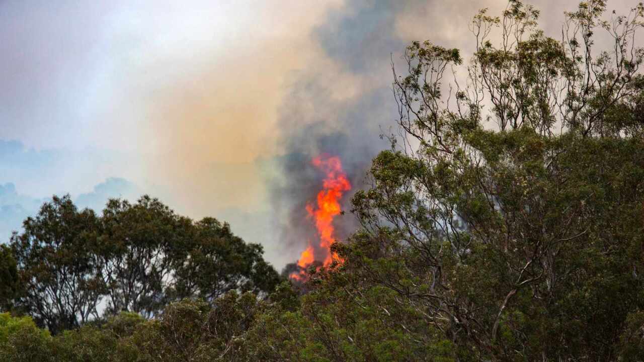 Homes In Melbourne’s North Damaged By Devastating Bushfires | News.com ...