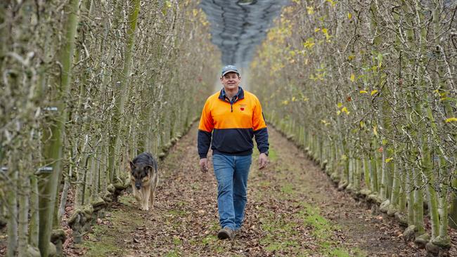 Brad Fankhauser and Peppa the German Shepherd on farm at Drouin. Picture: Zoe Phillips