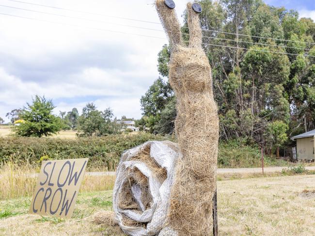 Middleton Scarecrow competition entries along the Channel Highway in Woodbridge.Picture: Linda Higginson