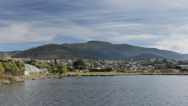 The Berriedale Foreshore Reserve. Picture: MATHEW FARRELL