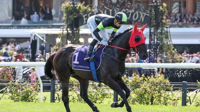 Private Eye will trial on Monday ahead of a return to racing at Eagle Farm next Saturday Picture: George Sal