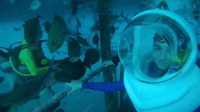 The Reef Walk on Sunlover Reef Cruises was a chance to get up close and personal with marine life. Image: Leah Goulis / Kidspot