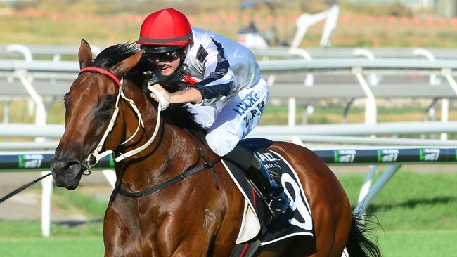 All Over Bosanova wins at Eagle Farm at her fourth start. Photo: Trackside Photography.