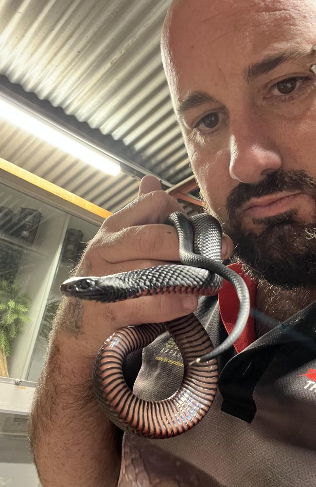 Stewart Gatt, known as "Stewy the snake catcher". Picture: Supplied