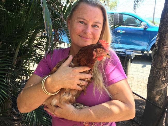 Freshwater Point sanctuary owner Linda Ashworth has rescued 300 chickens from a battery farm and is now putting them up for adoption at $20 each. Picture: Contributed