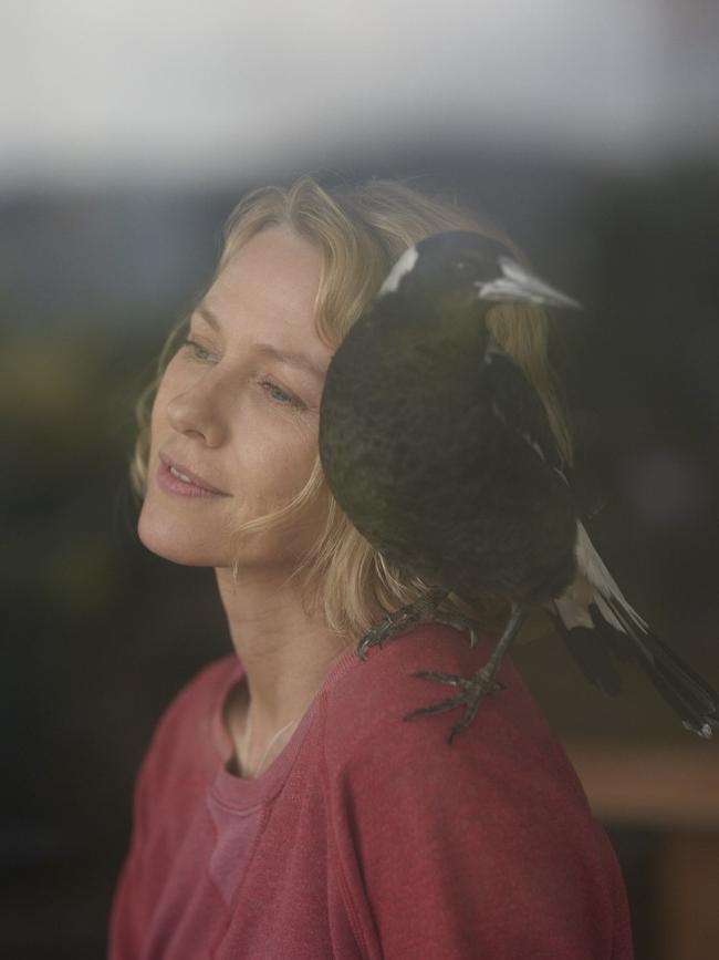 PENGUIN BLOOM, Naomi Watts, Jacki Weaver, All cinemas from late Jan, Parent Company: Village Roadshow