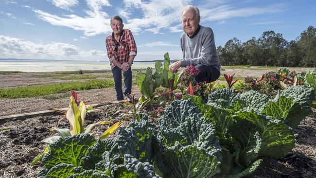 Killarney Vale’s Dennis Shirlaw and John Mabey at the Lucinda Ave community garden that council has ordered be demolished. Picture: Troy Snook