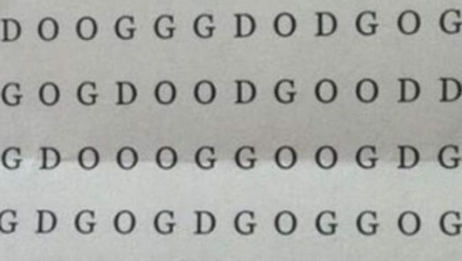 Picture Riddle: Find the Dog in the Given Image  Picture puzzles, Picture  puzzles brain teasers, Riddles