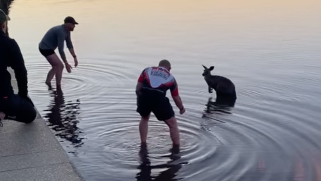 The kangaroo was carried out of the chilly lake by these two men. Picture: Facebook/Storyful