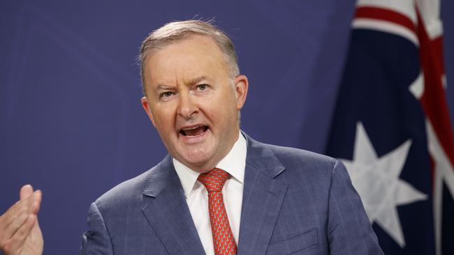 Anthony Albanese. Picture: Tim Pascoe