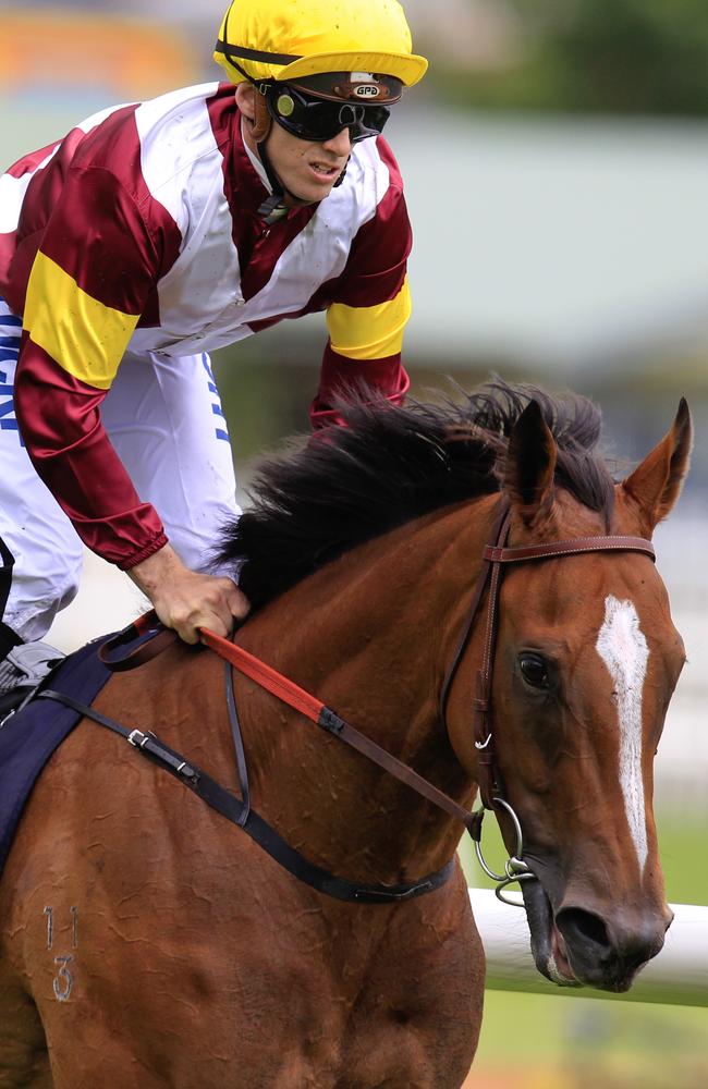 Faraway Town is set to peak in the Champagne Stakes. Picture: Jenny Evans