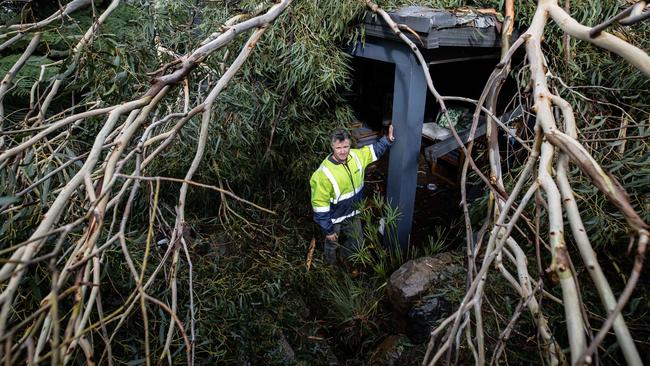 A tree fell through Leigh Burgess’ roof. Picture: Jason Edwards.