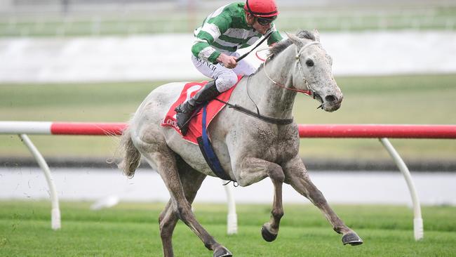 The John Leek Jr-trained Fengarada has an unbeaten record over the Sandown Hillside 1800m course. Picture: Racing Photos via Getty Images.