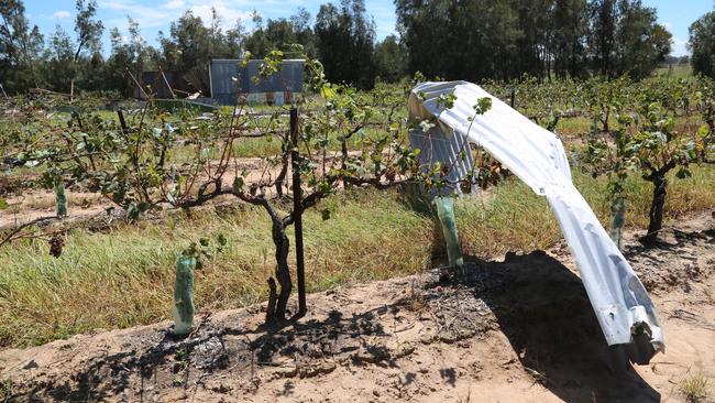 Metal from a shed roof at Keith Tulloch Wine at Pokolbin in Hunter Valley after a weak tornado ripped through the site on Sunday afternoon. Picture: Keith Tulloch Wine