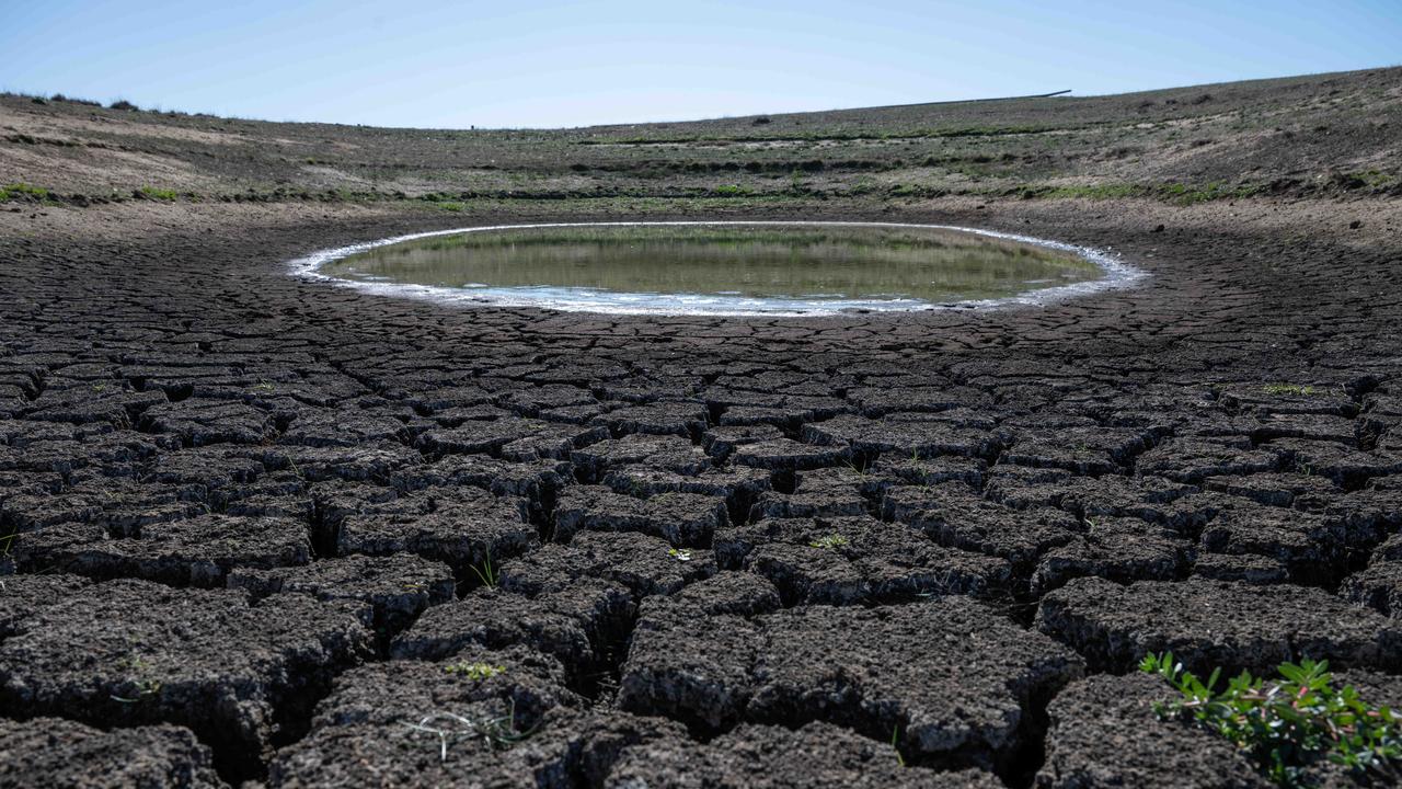 The drought is taking a huge toll on primary producers. Picture: Brad Fleet.