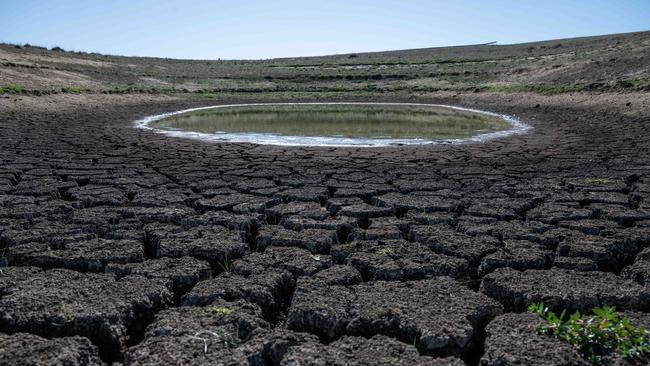 The drought is taking a huge toll on primary producers. Picture: Brad Fleet.