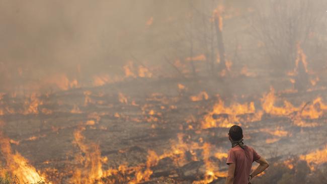 A man stands ready to fight flames as they engulf a hillside in Apollana, Rhodes, Greece. Flames continue to spread on the island of Rhodes