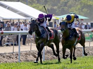 Racing’s masterplan for suburban track