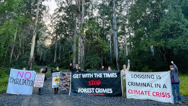 Protesters at the entrance to Orara East State Forest near Coffs Harbour on June 6. Picture: Supplied