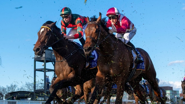 Western Empire is set to make his stable debut for John Leek Jnr (Photo by Vince Caligiuri/Getty Images)