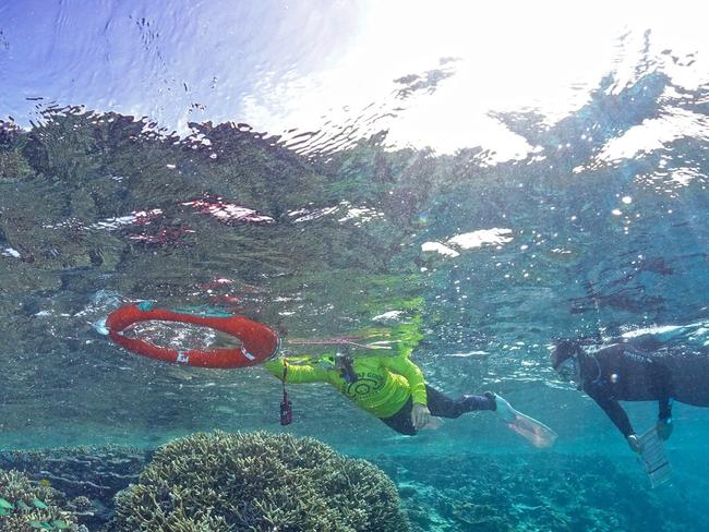 Fishing line is one of the main forms of litter affecting The Great Barrier Reef